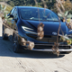 A black 2023 Toyota Prius.